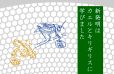 イメージ：新発明はカエルとキリギリスに学びました