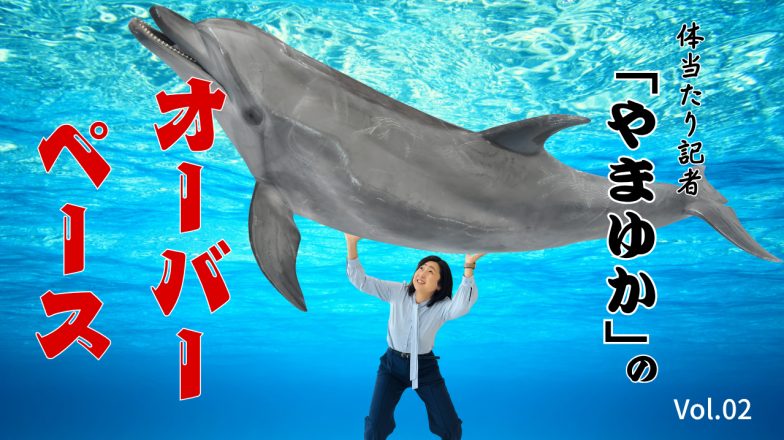 イメージ：(日本語) 体当たり記者「やまゆか」のオーバーペース Vol.02